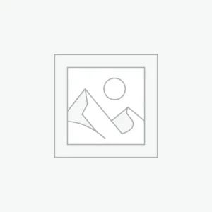 Uncategorized